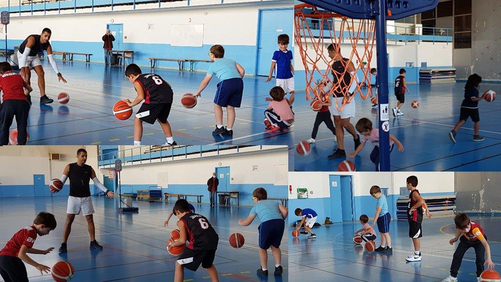 montage basket Sommières copie